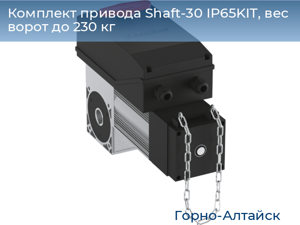 Комплект привода Shaft-30 IP65KIT, вес ворот до 230 кг, gorno-altaisk.doorhan.ru