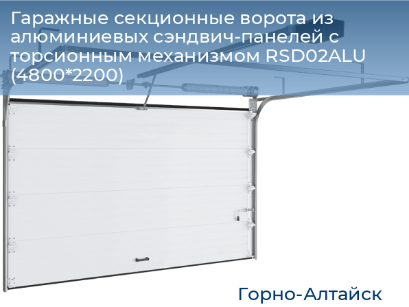 Гаражные секционные ворота из алюминиевых сэндвич-панелей с торсионным механизмом RSD02ALU (4800*2200), gorno-altaisk.doorhan.ru