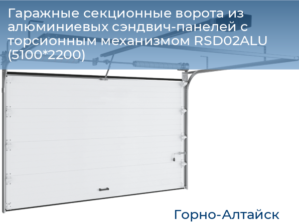 Гаражные секционные ворота из алюминиевых сэндвич-панелей с торсионным механизмом RSD02ALU (5100*2200), gorno-altaisk.doorhan.ru