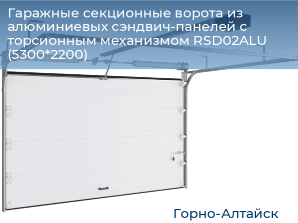 Гаражные секционные ворота из алюминиевых сэндвич-панелей с торсионным механизмом RSD02ALU (5300*2200), gorno-altaisk.doorhan.ru