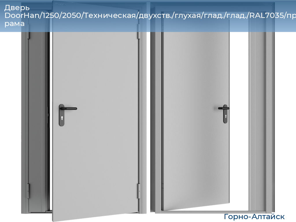 Дверь DoorHan/1250/2050/Техническая/двухств./глухая/глад./глад./RAL7035/прав./угл. рама, gorno-altaisk.doorhan.ru