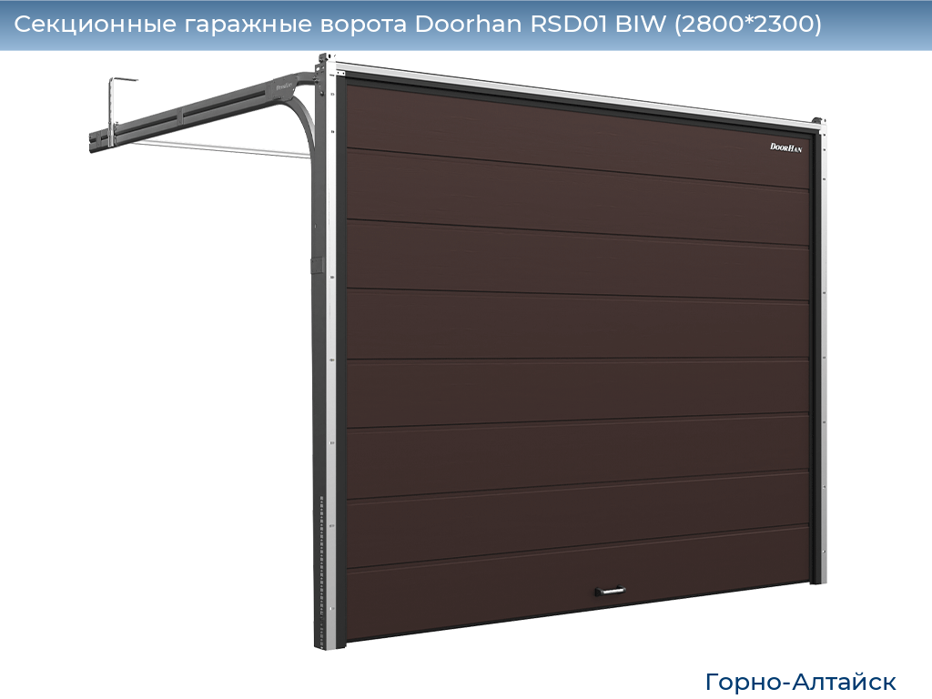 Секционные гаражные ворота Doorhan RSD01 BIW (2800*2300), gorno-altaisk.doorhan.ru