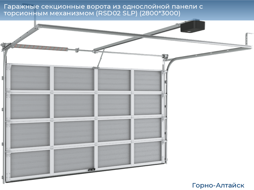 Гаражные секционные ворота из однослойной панели с торсионным механизмом (RSD02 SLP) (2800*3000), gorno-altaisk.doorhan.ru