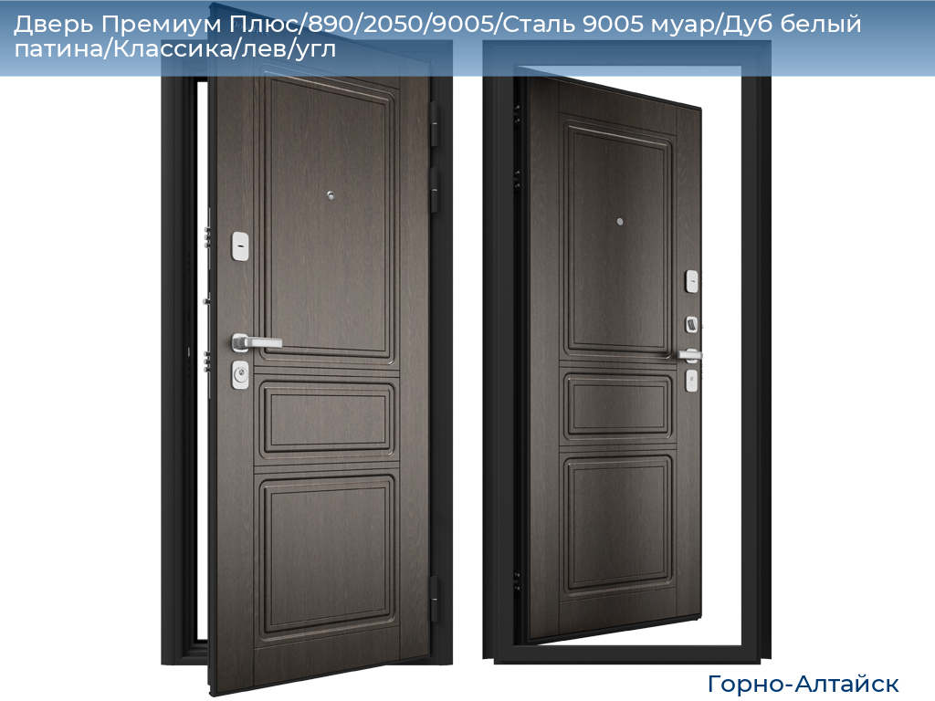 Дверь Премиум Плюс/890/2050/9005/Сталь 9005 муар/Дуб белый патина/Классика/лев/угл, gorno-altaisk.doorhan.ru