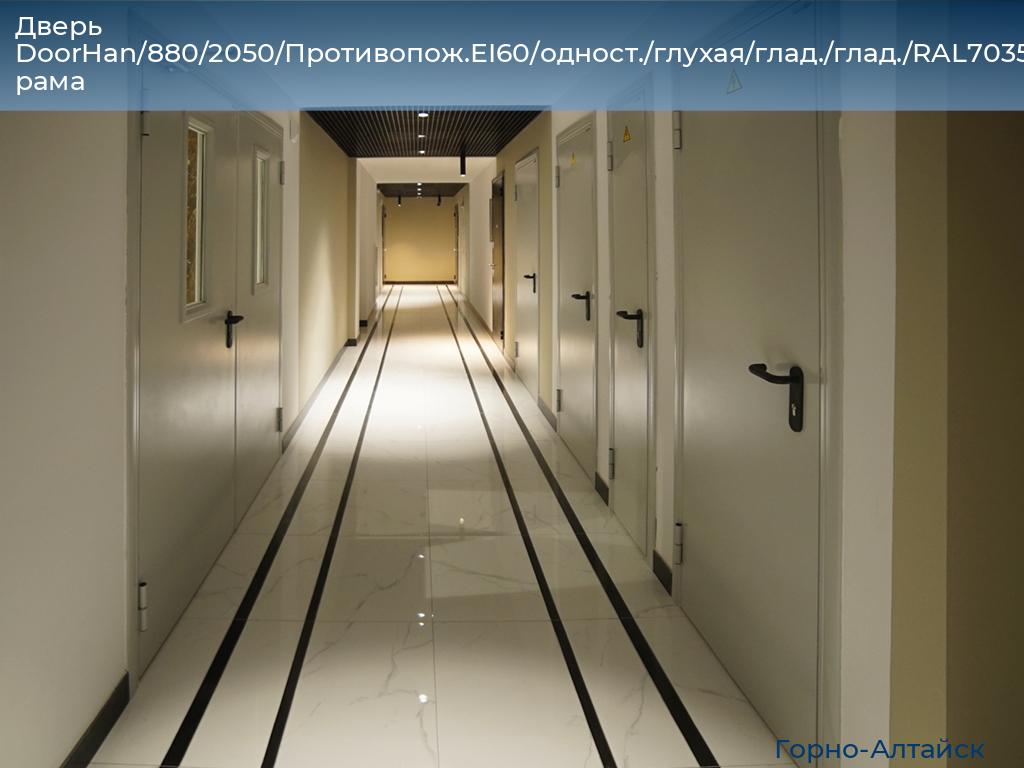 Дверь DoorHan/880/2050/Противопож.EI60/одност./глухая/глад./глад./RAL7035/лев./угл. рама, gorno-altaisk.doorhan.ru