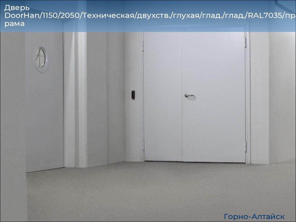 Дверь DoorHan/1150/2050/Техническая/двухств./глухая/глад./глад./RAL7035/прав./угл. рама, gorno-altaisk.doorhan.ru