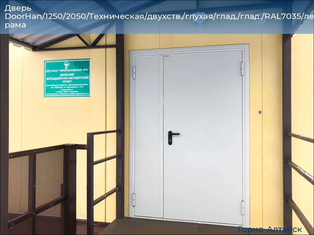 Дверь DoorHan/1250/2050/Техническая/двухств./глухая/глад./глад./RAL7035/лев./угл. рама, gorno-altaisk.doorhan.ru