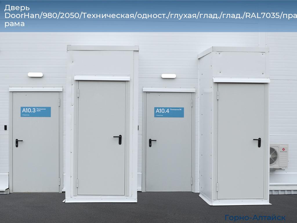 Дверь DoorHan/980/2050/Техническая/одност./глухая/глад./глад./RAL7035/прав./угл. рама, gorno-altaisk.doorhan.ru
