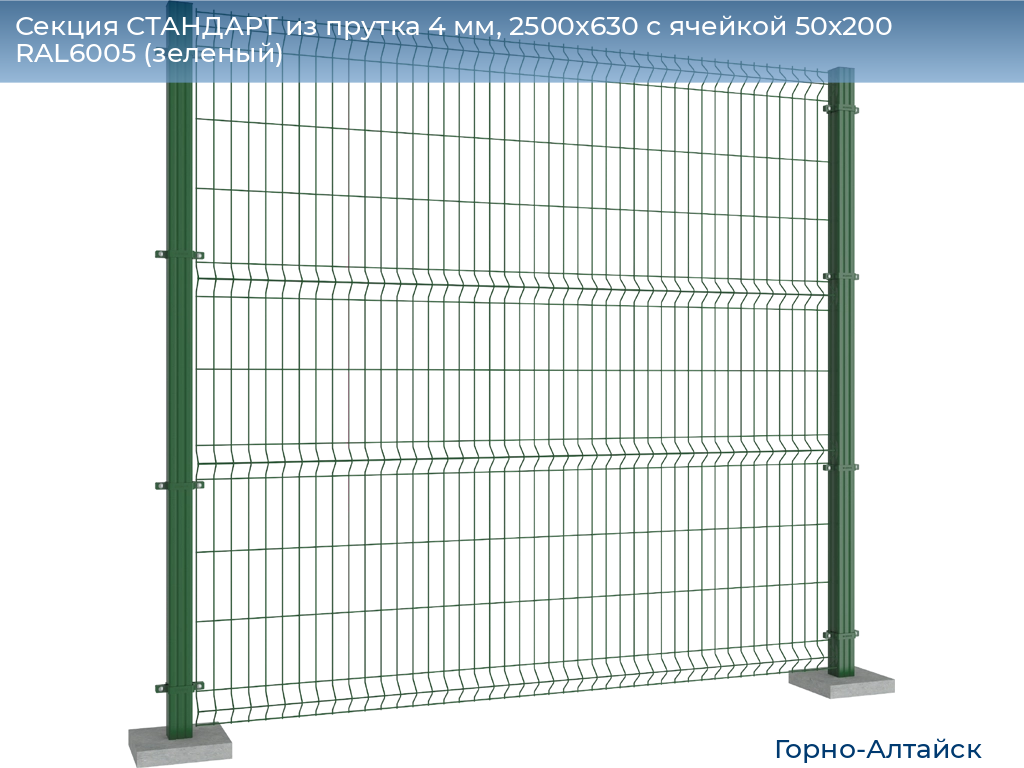 Секция СТАНДАРТ из прутка 4 мм, 2500x630 с ячейкой 50х200 RAL6005 (зеленый), gorno-altaisk.doorhan.ru