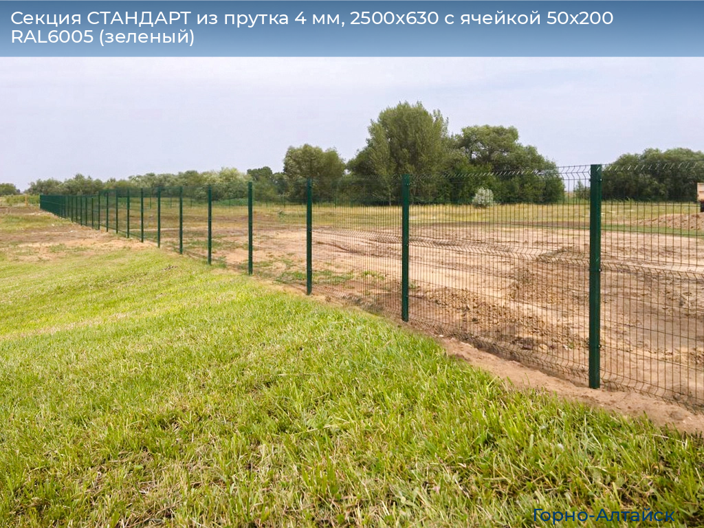 Секция СТАНДАРТ из прутка 4 мм, 2500x630 с ячейкой 50х200 RAL6005 (зеленый), gorno-altaisk.doorhan.ru