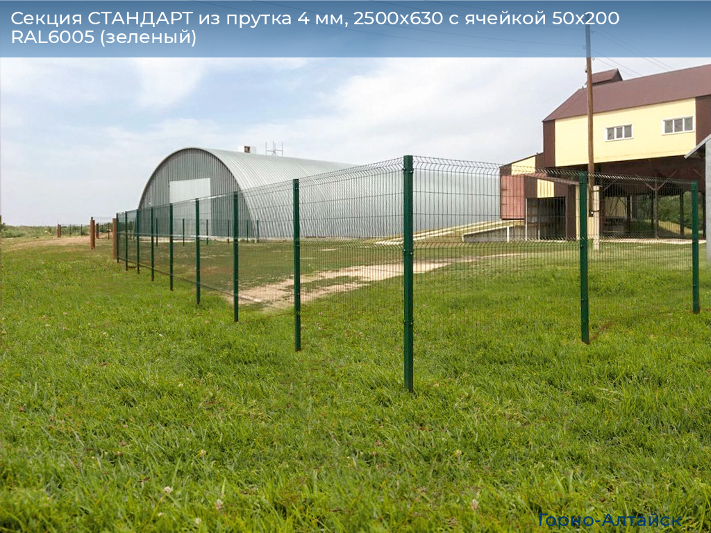 Секция СТАНДАРТ из прутка 4 мм, 2500x630 с ячейкой 50х200 RAL6005 (зеленый), gorno-altaisk.doorhan.ru