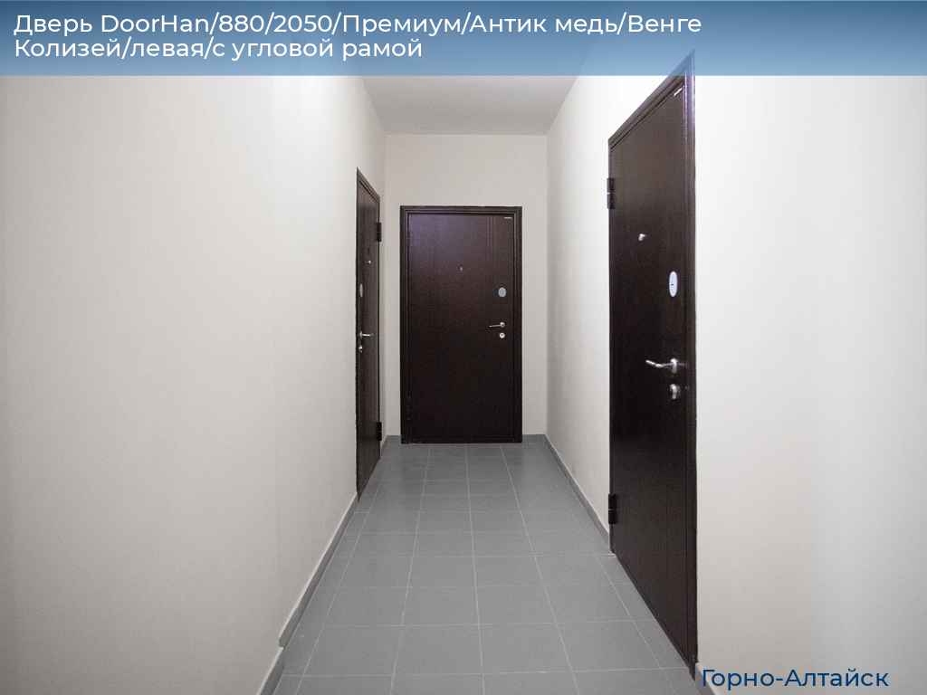 Дверь DoorHan/880/2050/Премиум/Антик медь/Венге Колизей/левая/с угловой рамой, gorno-altaisk.doorhan.ru