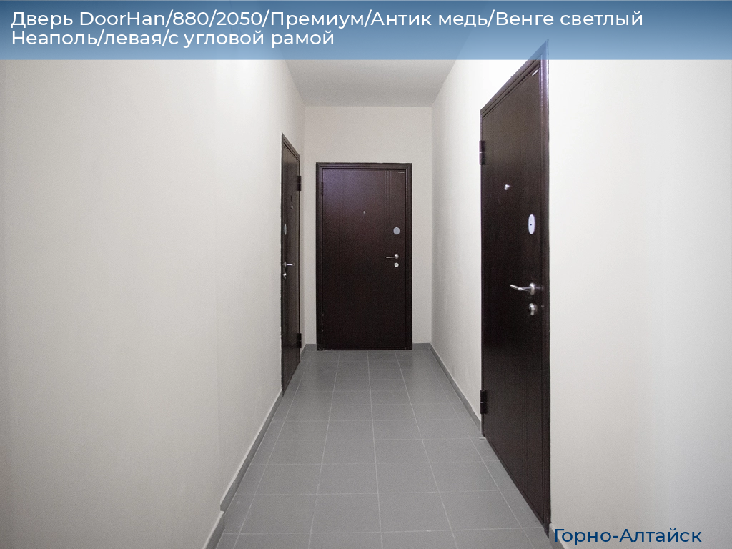 Дверь DoorHan/880/2050/Премиум/Антик медь/Венге светлый Неаполь/левая/с угловой рамой, gorno-altaisk.doorhan.ru
