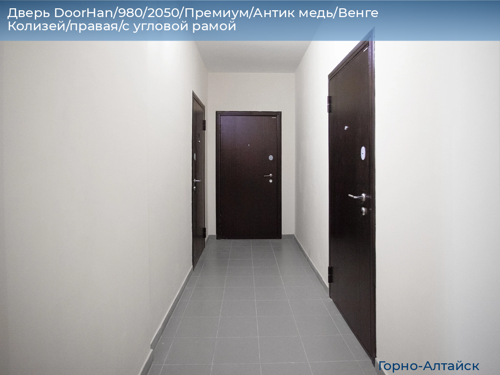 Дверь DoorHan/980/2050/Премиум/Антик медь/Венге Колизей/правая/с угловой рамой, gorno-altaisk.doorhan.ru