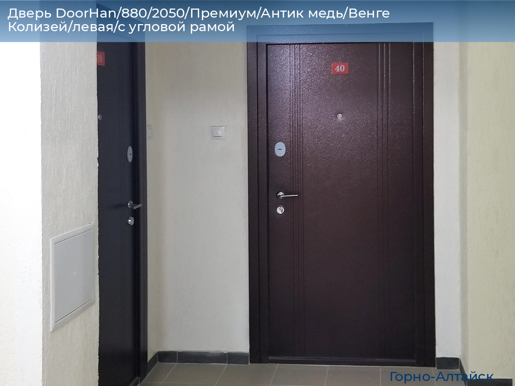 Дверь DoorHan/880/2050/Премиум/Антик медь/Венге Колизей/левая/с угловой рамой, gorno-altaisk.doorhan.ru