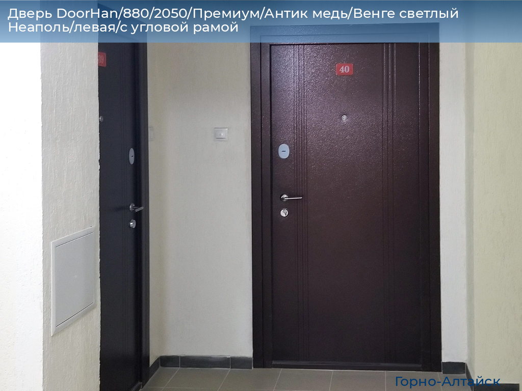Дверь DoorHan/880/2050/Премиум/Антик медь/Венге светлый Неаполь/левая/с угловой рамой, gorno-altaisk.doorhan.ru