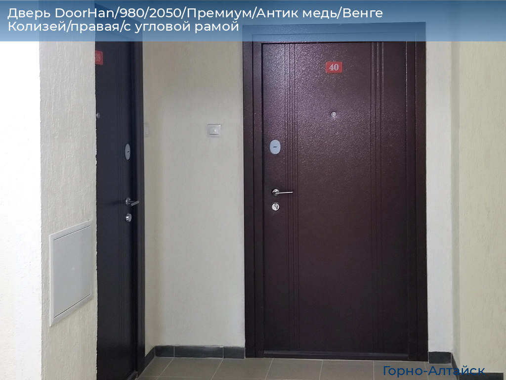 Дверь DoorHan/980/2050/Премиум/Антик медь/Венге Колизей/правая/с угловой рамой, gorno-altaisk.doorhan.ru